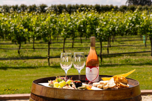 Summer Love Picnic in the Vines